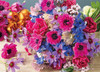 Appleone 500-300 Jigsaw Puzzle Beautiful Anemone Flowers (500 Pieces)