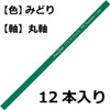 Tombow Colored Pencil 1500 Set of 12 Green