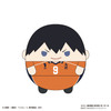 Max Limited Haikyuu!! Fuwakororin Plush Vol.6 6pcs Complete Box