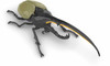 Fujimi Research Series Hercules Beetle Plastic Model