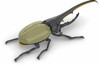 Fujimi Research Series Hercules Beetle Plastic Model