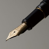AZONX Wajima Gold Lacquer Maki-e Fountain Pen -Gafu- Crane