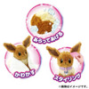 Pokemon Center Original Washable Plush Toy WHO are YOU? Eevee