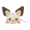 Pokemon Center Original Washable Pichu