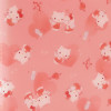 Sanrio Photo Album L Size Hello Kitty (Enjoy Idol)