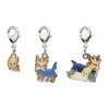 Pokemon Center Original Metal Keychain Series - Lillipup 506-507-508