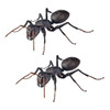 Kaiyodo Revogeo Camponotus Japonicus Figure