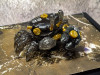ORANGE CAT INDUSTRY AQUACULTURE TANK 007: Fiddler Crab (Gold Black) Plastic Model
