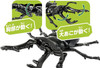 Takara Tomy Ania AS-40 Prosopocoilus Giraffa
