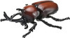 Takara Tomy Ania AS-37 Japanese Rhinoceros Beetle