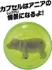 Takara Tomy Ania AC-09 Hippopotamus (Baby)