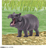 Takara Tomy Ania AC-09 Hippopotamus (Baby)
