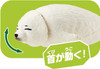 Takara Tomy Ania AC-12 Spotted Seal (Baby)