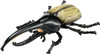 Takara Tomy Ania AS-38 Hercules Beetle
