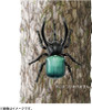 Takara Tomy Ania AS-39 Three Horned Beetle