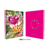 Pokemon Center Original TCG Binder Terastal Dedenne
