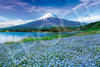 Epoch 09-040s Jigsaw Puzzle Baby Blue Eyes Flower Blooming in Fuji Yamanashi (Scenery) (1000 Pieces)