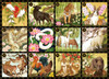 Epoch 79-115s Jigsaw Puzzle TAKI illustration Chinese Zodiac (500 Pieces)