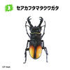 F-toys Incects Hunter Rhinoceros Beetle x Stag Beetle 2023 10pcs Complete Box