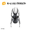 F-toys Incects Hunter Rhinoceros Beetle x Stag Beetle 2023 10pcs Complete Box