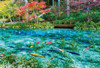Beverly 300-025 Jigsaw Puzzle Sparkling Monet's Pond (300 Pieces)