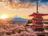 Yanoman 2308-27 Jigsaw Puzzle Mt. Fuji and Cherry Blossoms (150 S-Pieces)