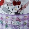Sanrio Hello Kitty Paper Tape - Set of 2