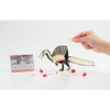 Megahouse 3D Anatomy Puzzle Spinosaurus