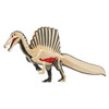 Megahouse 3D Anatomy Puzzle Spinosaurus