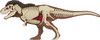 Megahouse 3D Anatomy Puzzle Tyrannosaurus T-Rex