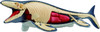 Megahouse 3D Anatomy Puzzle Mosasaurus