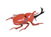 Fujimi Research Series Beetle Red Blood Cell Artery/Vein Ver. Plastic Model (Cells at Work!)