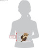 San-ei Plush Doll Kyunkoro Otter