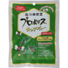 Morikawa Kenkodo Propolis Candy 100g