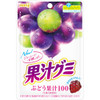 Meiji Fruit Juice Gummy Grape 54g