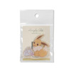 Pokemon Center Original Die-cut Acrylic Clip / Eevee