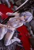 Kotobukiya ARTFX J Io 1/8 Figure (Code Vein)
