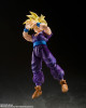 Bandai S.H. Figuarts Super Saiyan Son Gohan -  The Warrior Who Surpassed Goku (Dragon Ball Z)