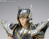 Bandai Saint Myth Cloth EX Pegasus Seiya Figure (Saint Seiya The Beginning)