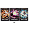 Pokemon Center Original A4 File Set of 3