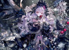 Epoch 07-460s Jigsaw Puzzle Midnight Witch (500 Pieces)