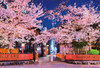 Beverly 1000-050 Jigsaw Puzzle Night Cherry Blossoms in Gion, Kyoto (1000 Pieces)