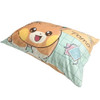 Pokemon Center Original Pillow Case Pawmi