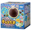 Pokemon Center Original Pokeball Chocolate Mould Maker Kit