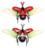 Fujimi Research Series Beetle Kamen Rider Stronger Ver. Plastic Model (Kamen Rider)