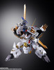 Metal Build DRAGON SCALE Ryuoumaru Figure (Mashin Hero Wataru)