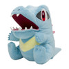 Pokemon Center Original Plush Puppet - Totodile (Bite Squad)