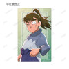 arma bianca Nintama Rantaro Sticker Card Collection 17pcs Box 
