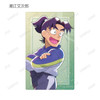  arma bianca Nintama Rantaro Sticker Card Collection 17pcs Box 