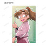  arma bianca Nintama Rantaro Sticker Card Collection 17pcs Box 
